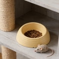 thumbnail image 5 of Bcylexb Solid Color Cat Bowls and Large-Diameter Dog Food Bowls, Anti-Tip, Easy-Clean, Neck-Support Pet Bowls for Puppies and Kittens, Yellow, 5 of 6