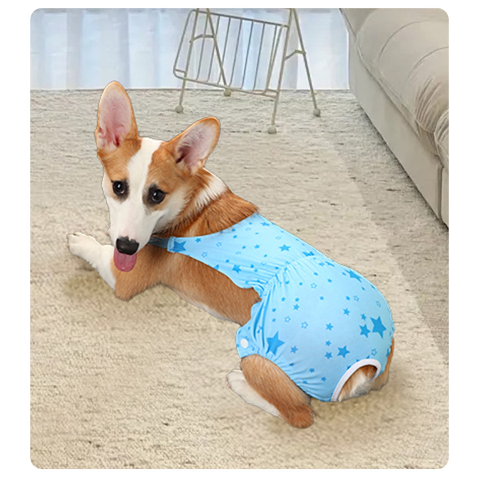 Nallwabiu Washable Dog Diapers Female Large Size,Reusable Highly Absorbent Doggie Diaper, Sky Blue Cloth Doggy Diaper for Heat Period Incontinence Management