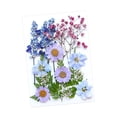 thumbnail image 3 of Flores prensadas secas, juego de flores de , hermosa artesanía, fabricación de velas, Material de fabricación DIY para pantallas de , Mezcla violeta, 3 of 8