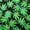 Cannabis Love, variant on Colorful Prints Ladies Hi Fashion Designer 90210 Face Mask