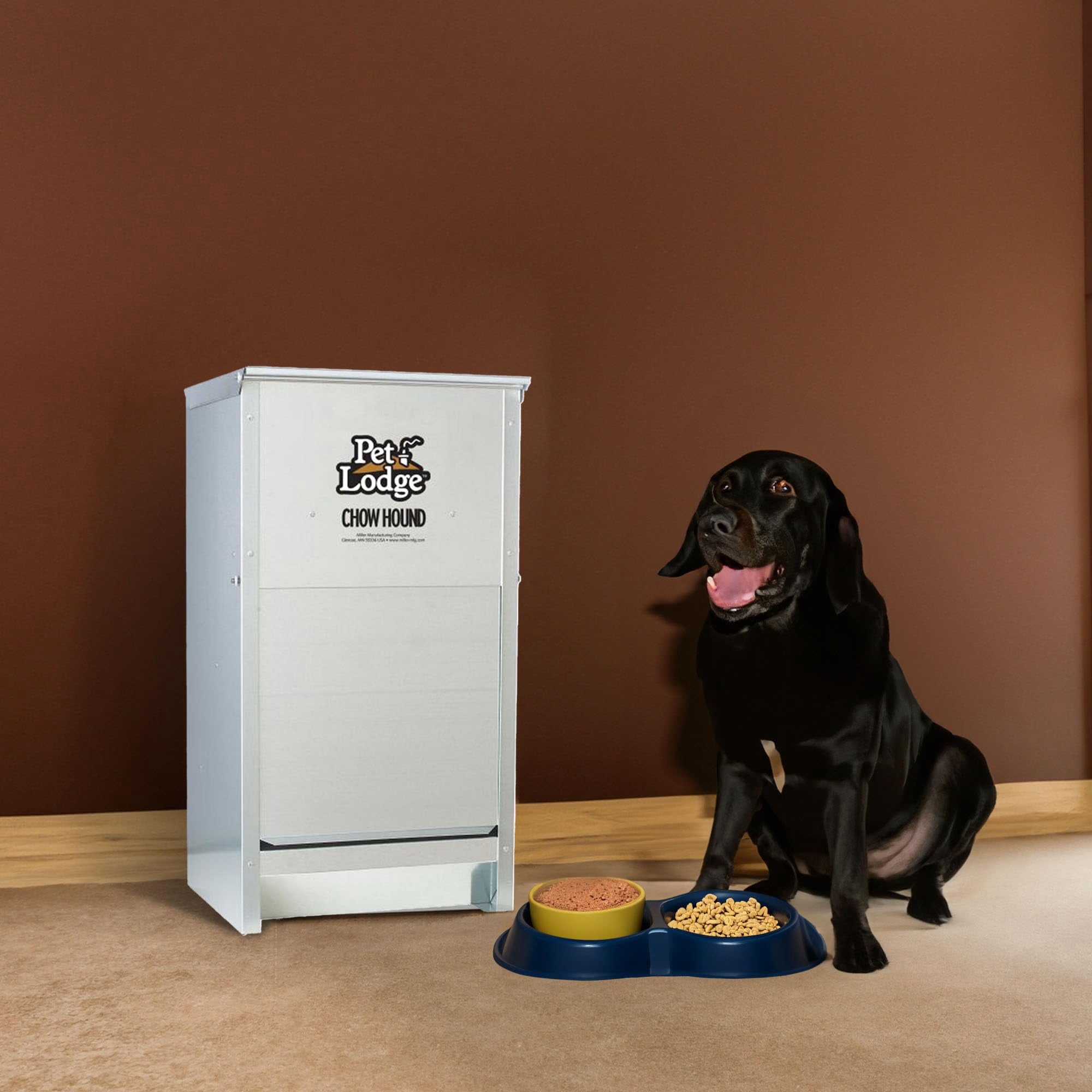 Chow Hound Automatic Dog Feeder 25LB Capacity Heavy Duty Steel Indoor Outdoor Pet Dispenser with Magnetized Door Angled Chute Wall Mountable Silver