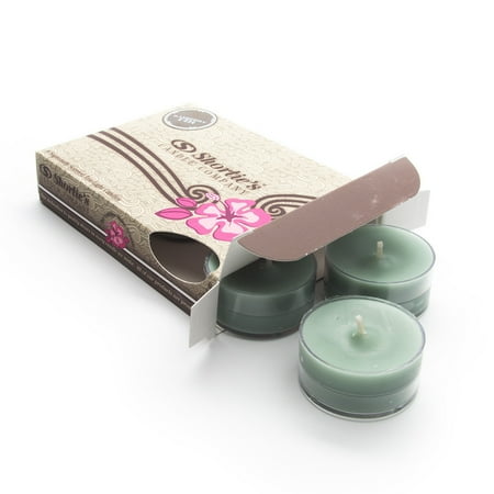 Bayberry Scented Candles - Bayberry Fir Green Tea Light Candles 6 Pack - Highly Scented, Hand Poured, & Clean Burning - Clear Container for Beautiful Candlelight - Christmas Tealights Collection