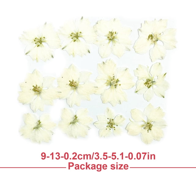Pressed Flowers Home Arts Decorative Bookmarks Stickers Safe Colorful Multiple Simulation Decor Perfect Gifts Festive Supplies White