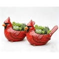 thumbnail image 2 of Cardinal Bird Succulent Planter – Red Resin Cardinal Outdoor Decor Planter – Decorative Animal Flower Pot for Garden, Patio, Balcony – Gift for Bird Lovers (2PCS), 2 of 6