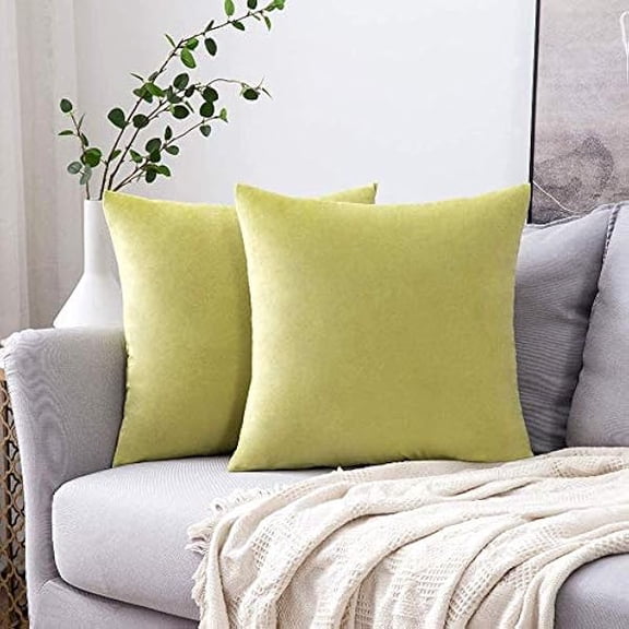 Eryueer Velvet Soft Decorative Square Throw Pillow Case Cushion Covers Pillowcases for Livingroom Sofa Bedroom with Invisible Zipper 18"x18" 2 Pieces Avocado