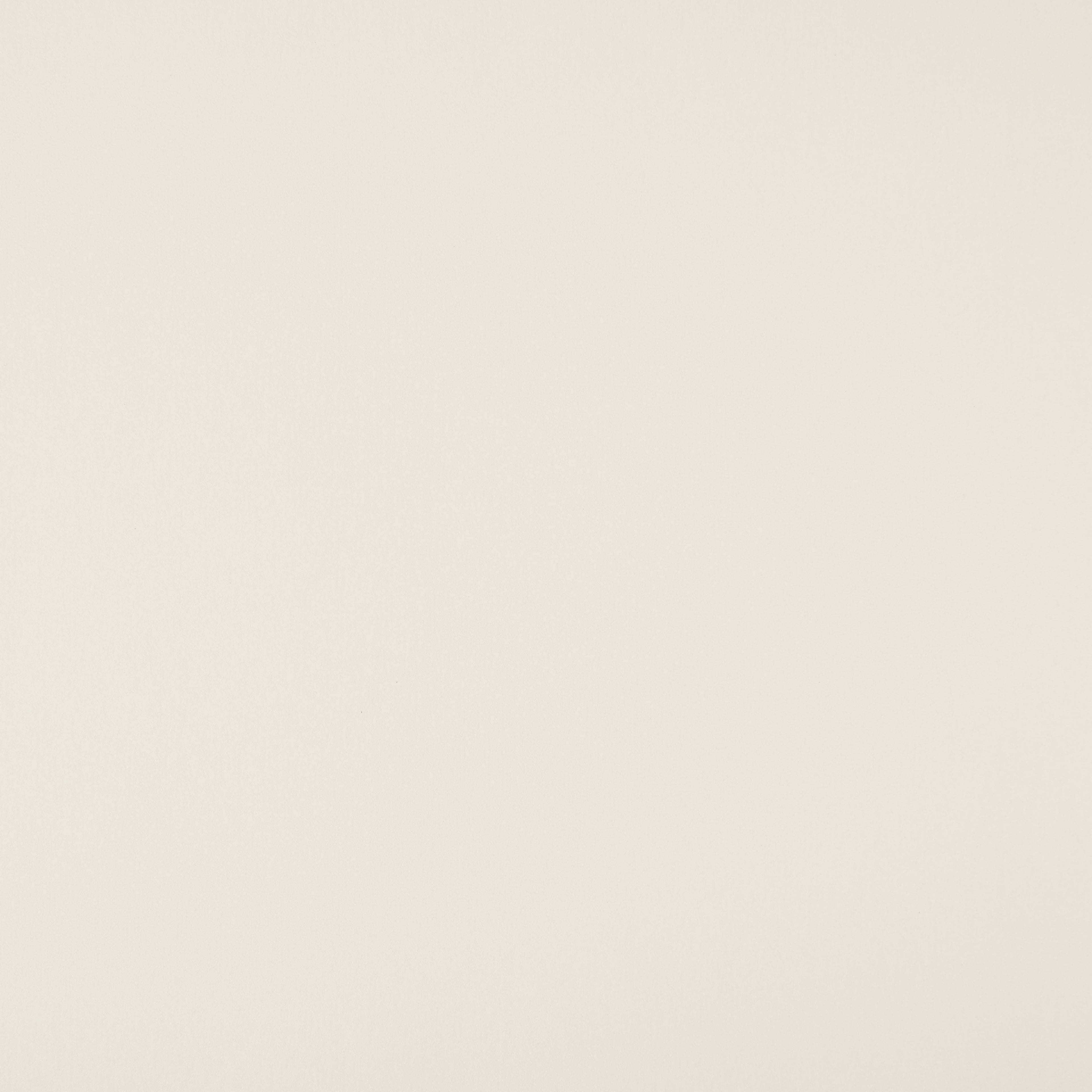 100 Sheets Shimmer Silver & Champagne 8.5” x 11” Cardstock Paper by Recollections - Acid and Lignin Free Paper for Scrapbooks - Arts & Crafts - 1 Pack
