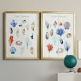 thumbnail image 6 of 2 Piece Set Beach Treasures Premium Framed Canvas - Ready to Hang - 26.5 x 36.5 Each - Black Frame, 6 of 8