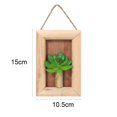 thumbnail image 3 of Simulation Potted Succulent Decorative Beautiful High Quality Wall Hanging Potted Simulation Succulent, 3 of 4