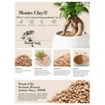 thumbnail image 3 of Monto Clay pH 5.6 (Montmorillonite Calcined Clay) Bonsai Soil Amendment (2 Dry Quarts), 3 of 3
