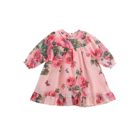 

Nokpsedcb Toddler Infant Baby Girls Long Sleeve Dress Flower Flounce O-Neck A-line Princess Dress Pink 3-4 Years