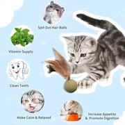 Feathered Catnip Mint Toys (3pc)