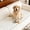 White, variant on MK Gdledy Pet Couch Cover Dogs Washable Non-Slip Couch Protector Pet Friendly Dog Mat for Couches and Sofas Comfortable