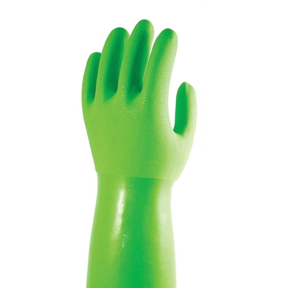 Garden Works - Star Kitchen TBGM True Blues Medium Green Ultimate Household Gloves