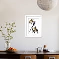 thumbnail image 4 of Audubon Flycatcher, 1827, Animals Framed Art Print Wall Art by John James Audubon Sold by Art.Com, 4 of 6