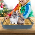 thumbnail image 6 of Pet Supplies Rabbit Litter Tray Detachable Design for Small Animals Corner Toilet Pan for Hamster Ferret Hedgehog Bunny, 6 of 8