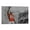 Frame-style, variant on Demaryius Thomas Canvas Poster Wall Art Poster Gifts Bedroom Prints Home Decor Hanging Picture Canvas Painting Posters 12x18inch(30x45cm)