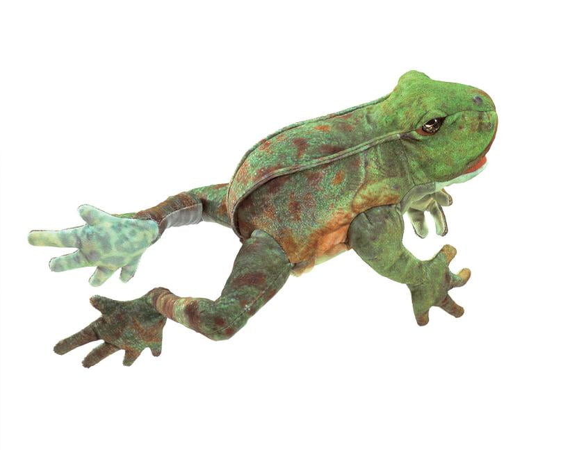 Jumping Frog Puppet (Other)