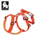 thumbnail image 2 of Arnés para mascotas TRUELOVE de nailon con doble H, personalizado, antitirones, reflectante, transpirable, ajustable, YH1803, 2 of 5