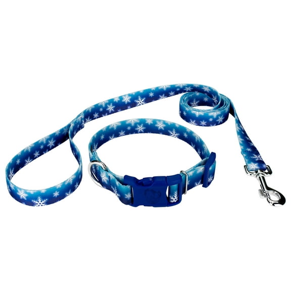 Country Brook Petz® 3/4 inch Deluxe Winter Wonderland Dog Collar and Leash, Medium