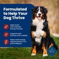 thumbnail image 5 of Blue Buffalo Life Protection Formula Adult Dry Dog Food, Beef & Brown Rice, 30lb Bag, 5 of 13