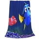 thumbnail image 2 of Manta de Buscando a Nemo para hombres y mujeres, manta de tela súper suave y esponjosa, acogedora y cálida, adecuada para sofá, cama, manta de viaje, regalo para todas las estaciones 80 "X60", 2 of 8