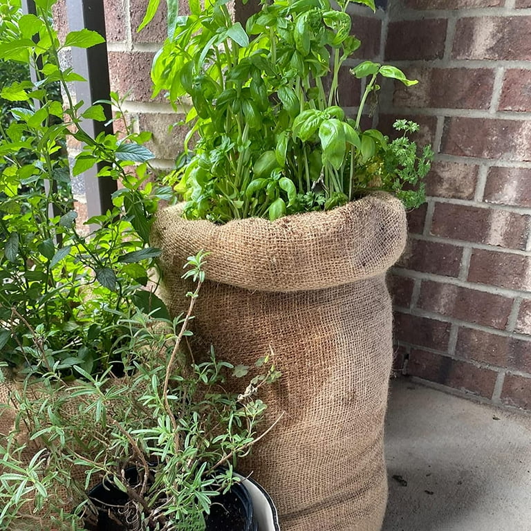 Burlap bags for plants hotsell