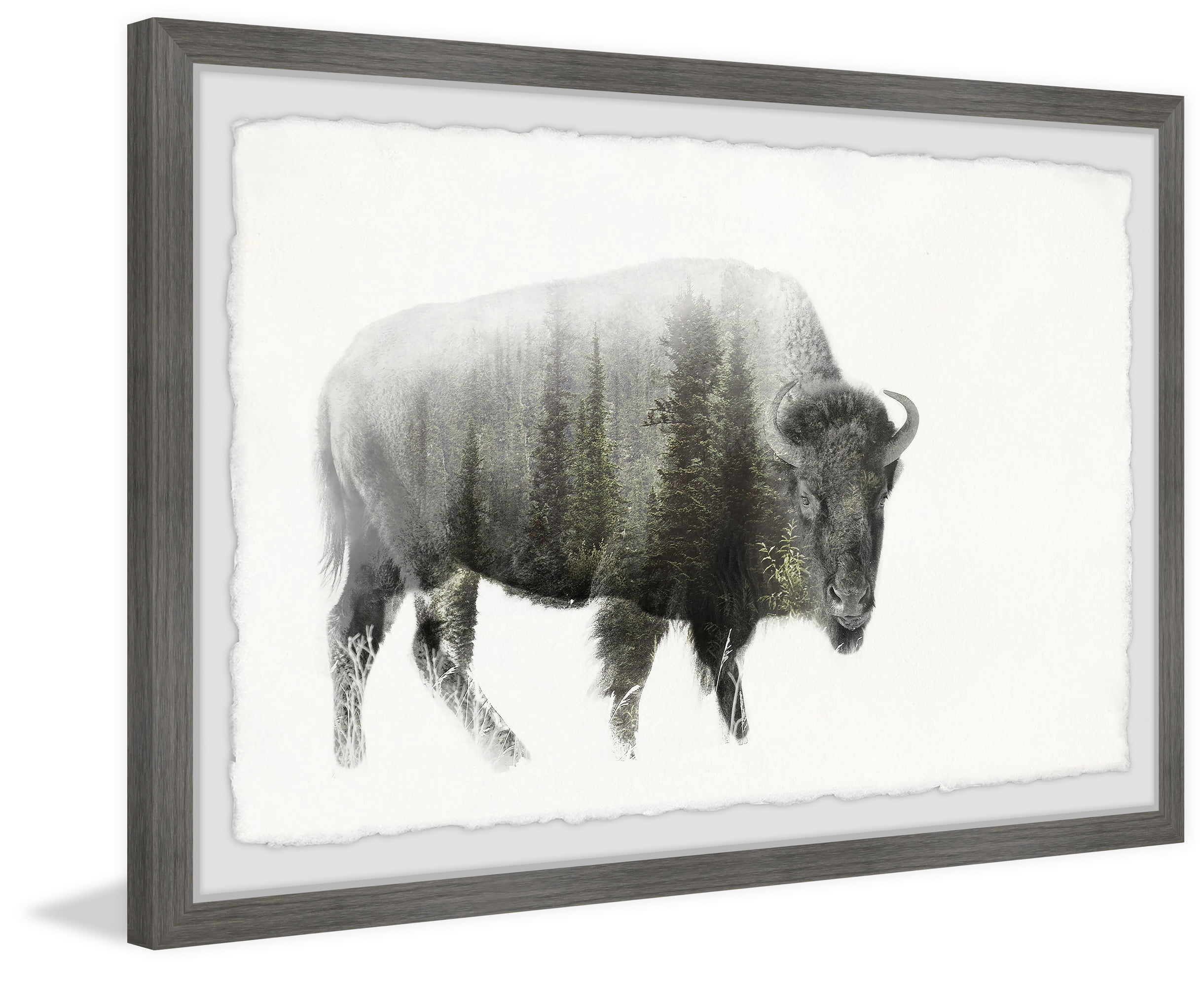 Marmont Hill Angry Bison Framed Wall Art, 20" x 30"