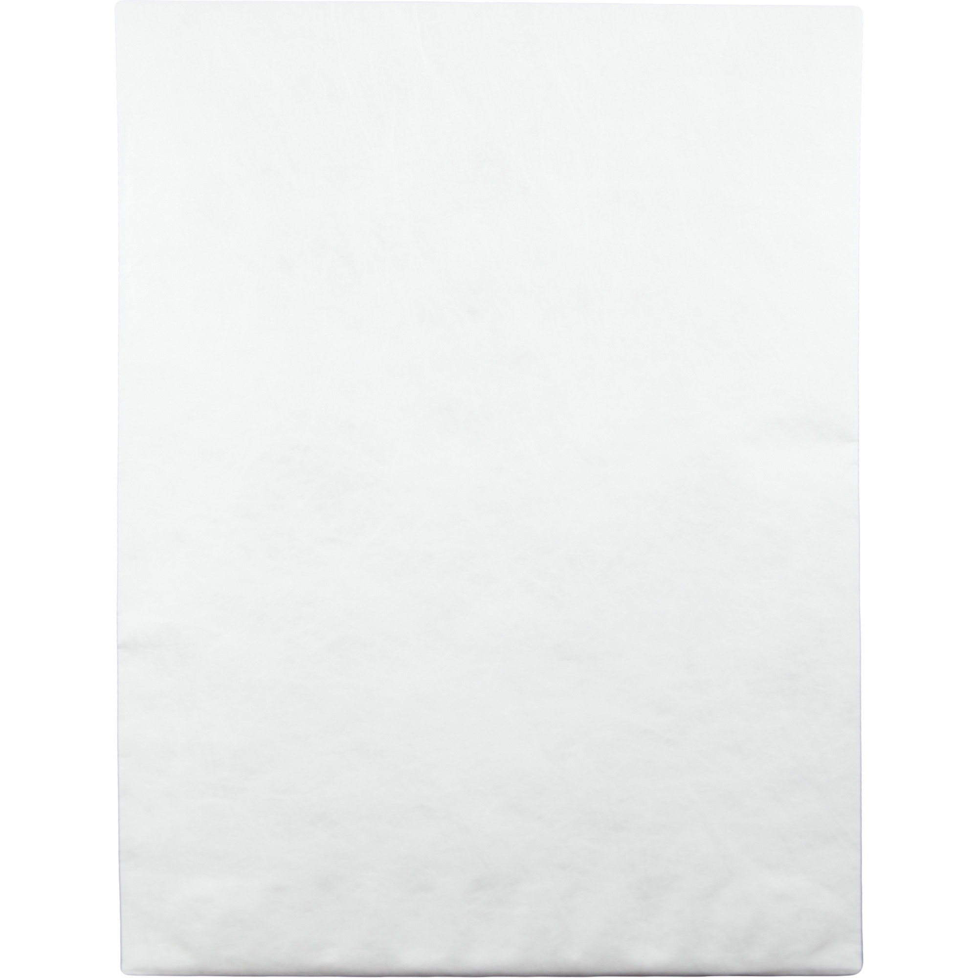 Quality Park, QUAR5106, Tyvek Jumbo Survivor Envelopes, 25 / Box, White