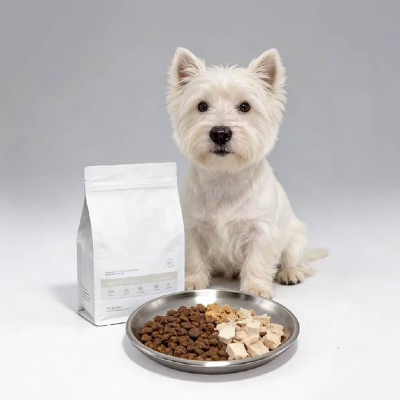 Moonsky Non-skid Weighted Stainless Steel Pet Bowl Flat Feeding Dish 6.7in Metal Cat Dog Bowl for Food and Water, Silver