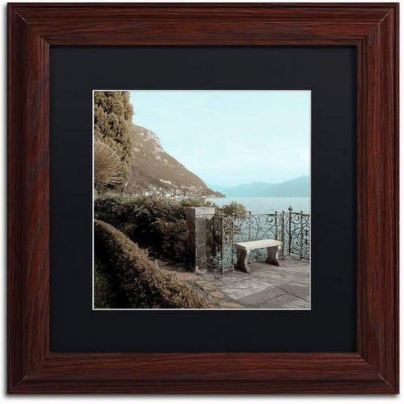 Trademark Fine Art "Lake Vista IV" Canvas Art by Alan Blaustein, Black Matte, Wood Frame