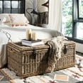 thumbnail image 2 of happimess Caden 46" Wicker Storage Trunk, Natural, HPM9000C, 2 of 10