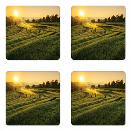 

Country Coaster Set of 4 Barley Field Sunset Samoeng Chiang Mai Thailand Nature Countryside Picture Square Hardboard Gloss Coasters Standard Size Green Yellow by Ambesonne