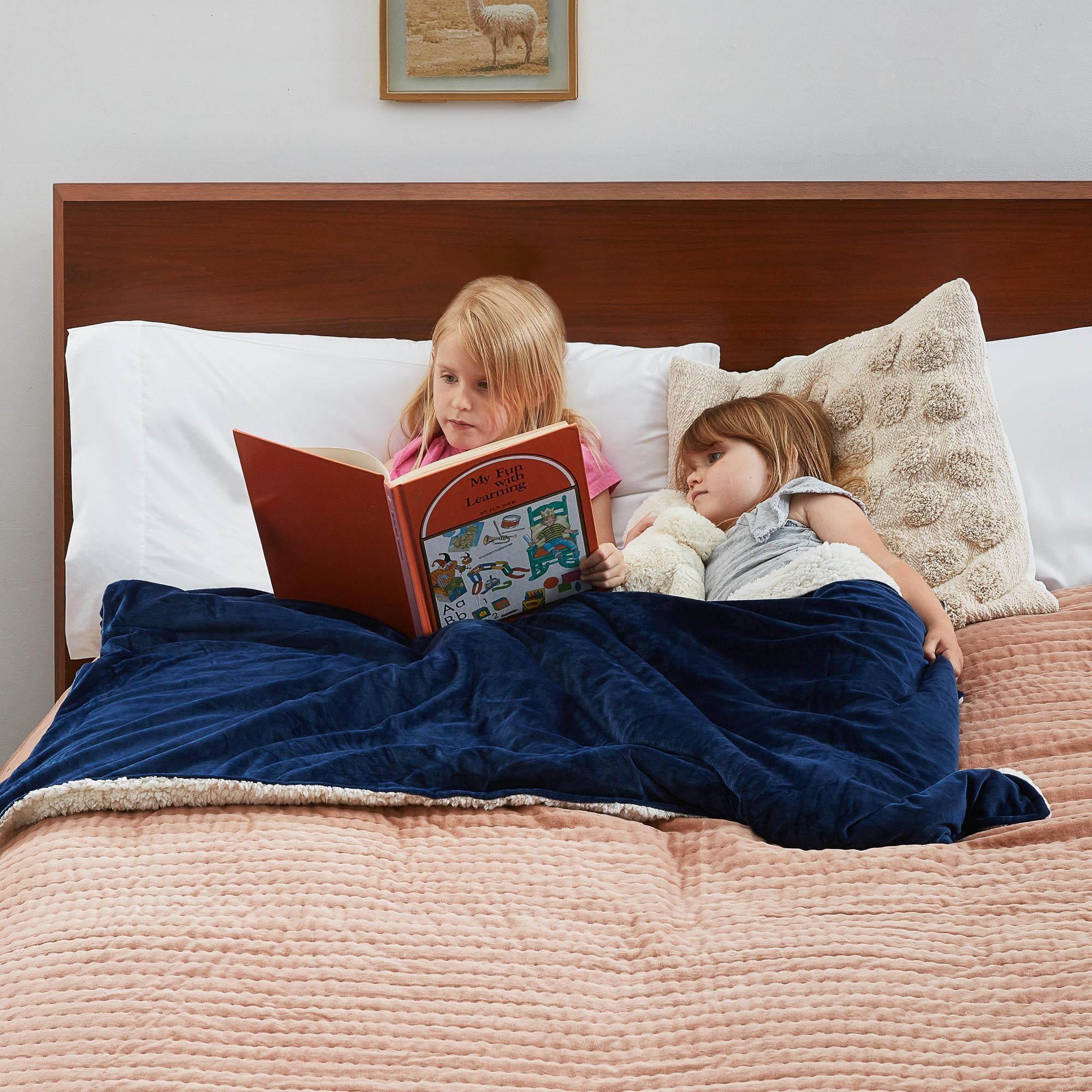 Rest Haven Weighted Blanket Cover, Twin Size (36" x 48"), Navy/Ivory Sherpa