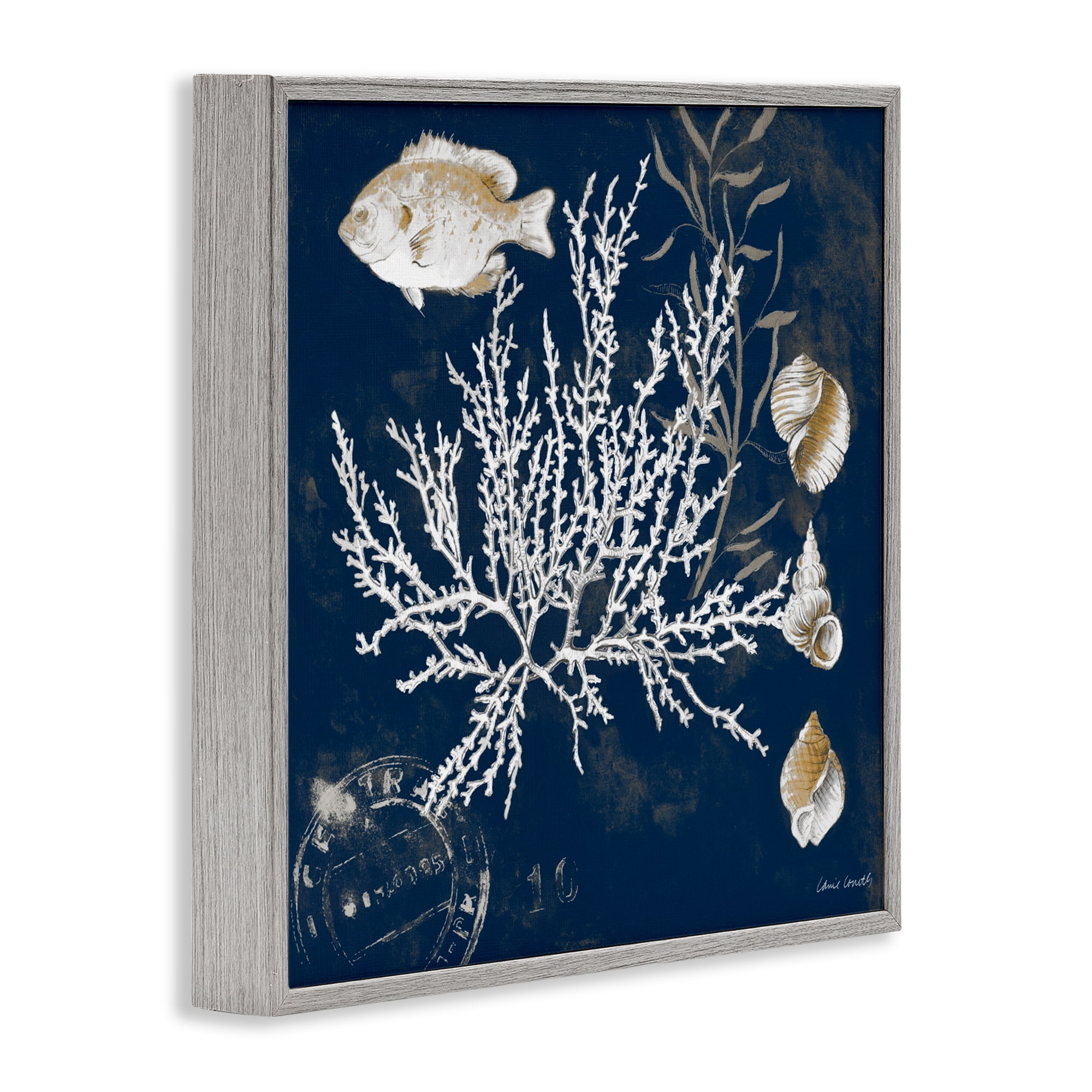 Stupell Industries Coral Medley on Blue Gray Framed Giclee Art, design by Lanie Loreth