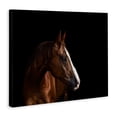 thumbnail image 2 of Stupell Industries Farmhouse Modern Horse Portrait Solemn Farm Animal Photography Canvas Art, 30 x 24, by Marika Moffit, 2 of 7