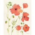 thumbnail image 2 of Marrott, Stephanie 15x18 White Modern Wood Framed Museum Art Print Titled - Poppy Garden, 2 of 4