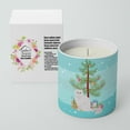 thumbnail image 2 of Carolines Treasures CK4758CDL 3.75 x 3.25 in. Unisex Chinchilla Persian Style Longhair Cat Merry Christmas 10 oz Decorative Soy Candle, 2 of 5
