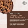 thumbnail image 4 of Pride of India - PACK of 6 - Black Cardamom Whole 5 oz (142 gm) – Cardamom Pods – Firm & Smoky Flavor – Freshly Dried – Ideal for Indian & Asian Cooking – Easy to Use – Medium Dual Sifter Bottle, 4 of 6
