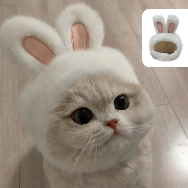 Lisbinx Mascotas Gatos Perros Perros pequeños Lindo Peculiar Lindo Disfraz Orejas brillantes Sombrero Cubierta de cabeza