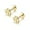 Gold, variant on 16G Top Honeybee Cartilage Stud Earrings Stainless Steel Tiny Bee Flat Back Screw Lip Tongue Piercing Barbell Labret Studs Cute Jewelry Gifts for Women Men Unisex Hypoallergenic