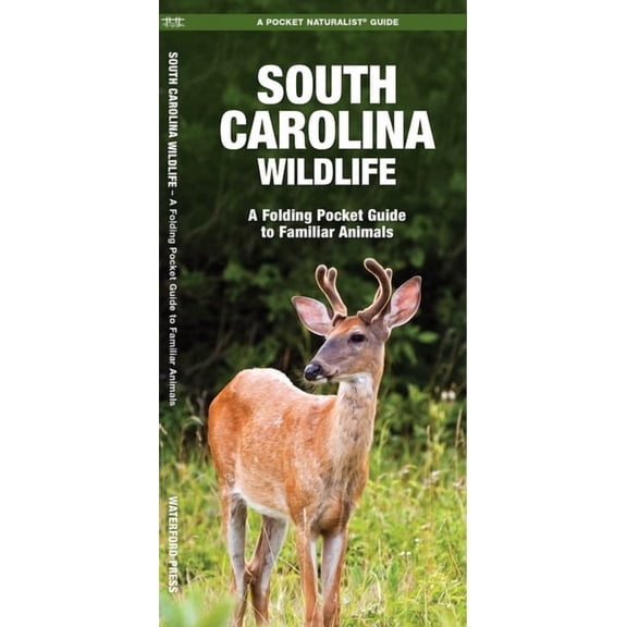 South Carolina Wildlife: An Introduction to Familiar Species