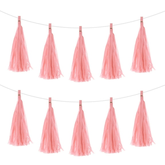 30Pcs Light Pink Tassel Garland Banner w Rope for Wedding Birthday Party Decoration