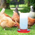 thumbnail image 4 of Chicken Waterer Poultry Feeder Chick Feeder Waterer Tools Chicken Duck Quail Poultry Feeder Chicken Waterers Feeder, 4 of 4