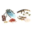 thumbnail image 3 of Ciclo de modelo niño Baoblaze 9 piezas Juguete de enseñanza temprana Juego de crecimiento de insectos para niños, 3 of 8