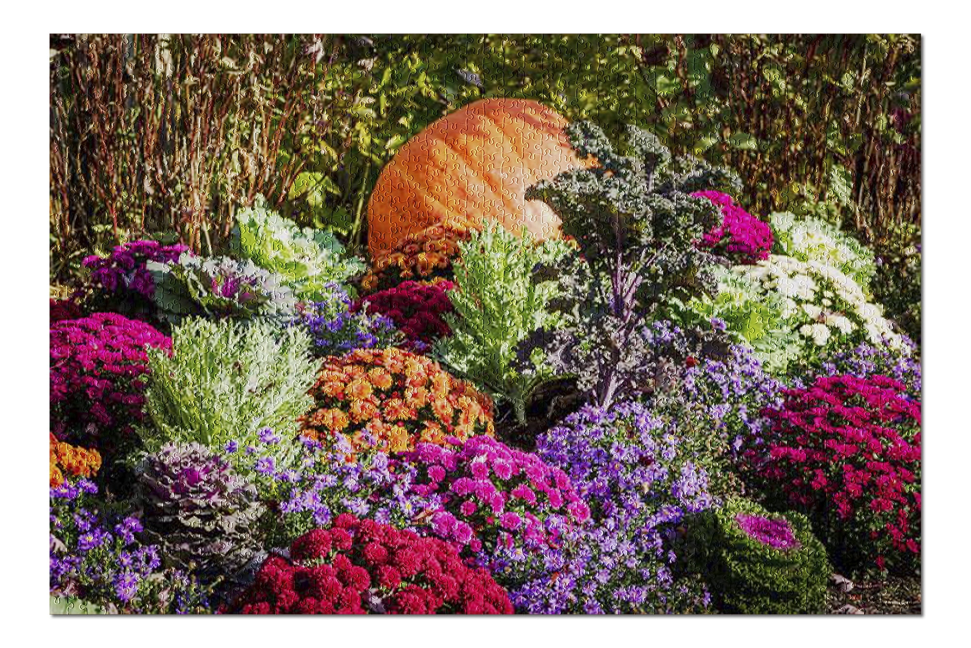 Claire Dalgety Horrocks Grand Rapids Flowers / Gifts & Accessories at