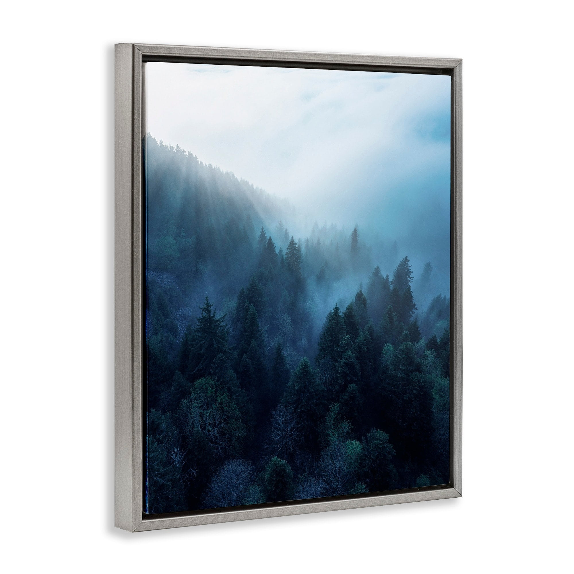Stupell Industries Daylight over Pine Forest Mountain with Fog Luster Gray Framed Floating Canvas Wall Art, 24x30, by Unsplash