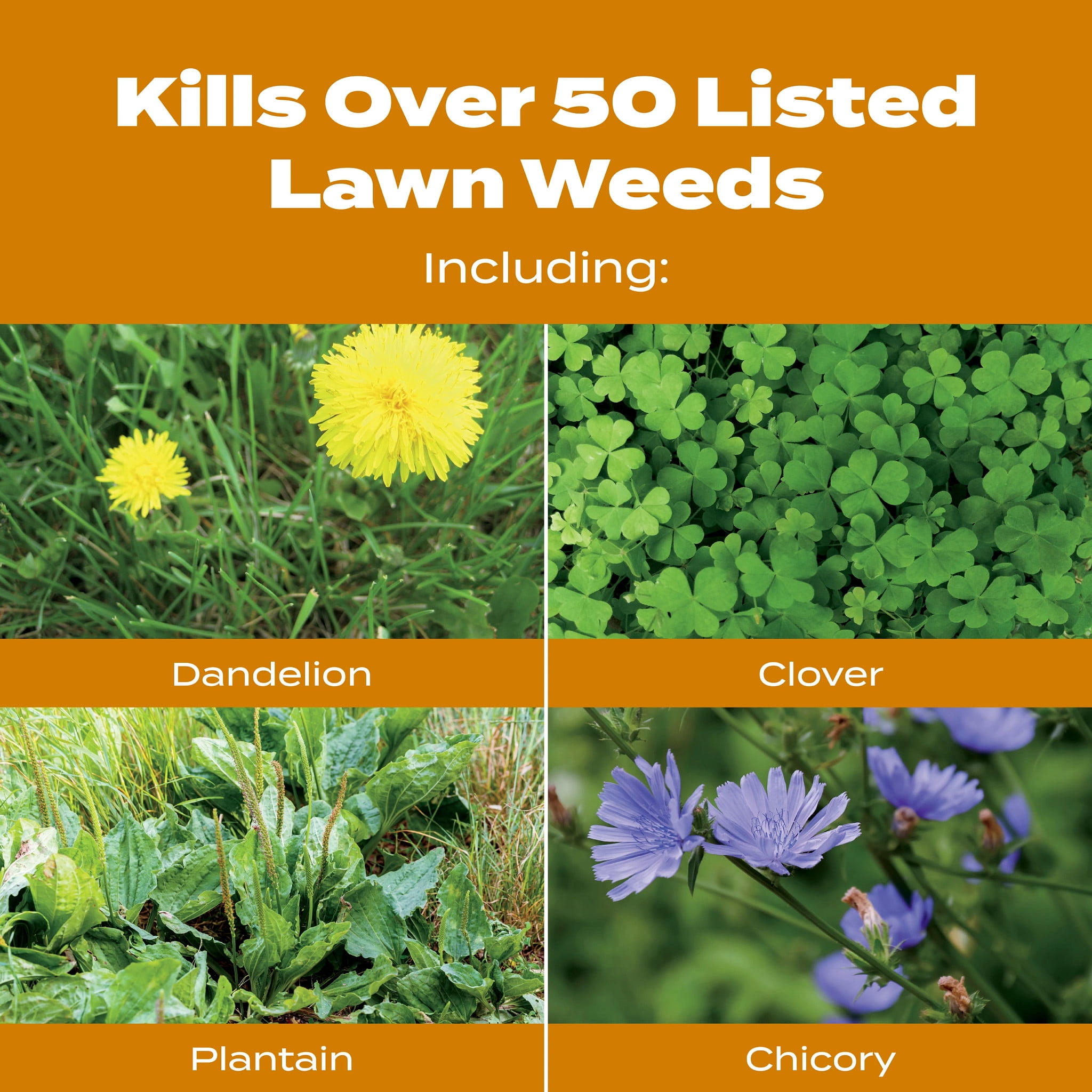 Scotts Turf Builder WinterGuard Fall Weed & Feed5, 11.28 lbs.