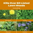 thumbnail image 4 of Scotts Turf Builder WinterGuard Fall Weed & Feed5, 11.28 lbs., 4 of 5