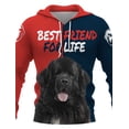 thumbnail image 4 of Sudadera con capucha con letras de perro y animales, nueva sudadera con capucha de dibujos animados de anime en 3D, para parejas, hombres, mujeres y adultos, moda informal y cómoda, 2024, 4 of 5