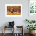 thumbnail image 3 of Art.com Cute Red Fox, Vulpes Vulpes in Fall Forest. Beautiful Animal in the Nature Habitat. Wildlife Scene Photographic Print, White Frame Wall Art, 44" x 32", 3 of 5